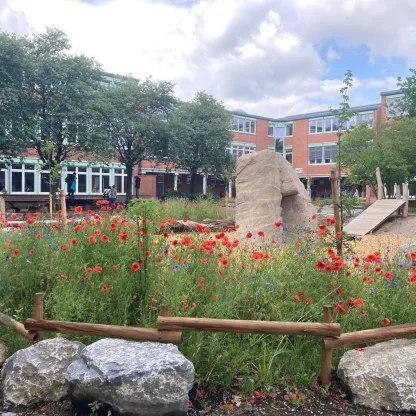 Naturnaher Schulhof einer Gesamtschule mit einer blühenden Wildblumenwiese aus roten Mohnblumen und blauen Kornblumen im Vordergrund. Ein großer Sandsteinblock dient als Kletterstein inmitten der Bepflanzung. Die Fläche ist mit einem geschwungenen Holzzaun und Natursteinen eingefasst. Im Hintergrund das mehrstöckige Backsteingebäude der Schule, umgeben von jungen Bäumen, mit einer Holzrampe als Spielelement. Bewölkter Himmel über der Anlage.