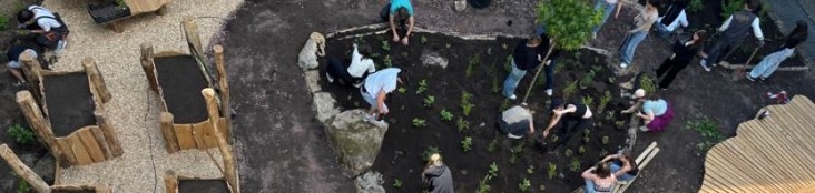 Schüler*innen gestalten einen grünen Lernort im Schul-Atrium: gemeinsames Pflanzen in einem großen Beet, dazu Holzdecks und Sitzinseln im Innenhof.