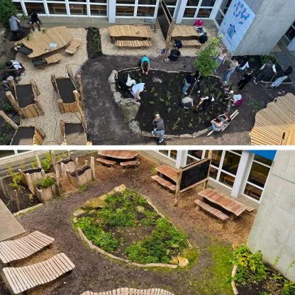 Collage mit 2 Fotos. Oben: Schüler*innen gestalten einen grünen Lernort im Schul-Atrium: gemeinsames Pflanzen in einem großen Beet, dazu Holzdecks und Sitzinseln im Innenhof. Foto unten: Fertig gestaltetes Schul-Atrium als grünes Klassenzimmer: bepflanztes Beet mit Natursteinrand, Holz-Sitzlandschaften, Tafel und Hochbeete im Innenhof.